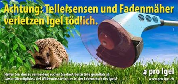 Achtung Igel
